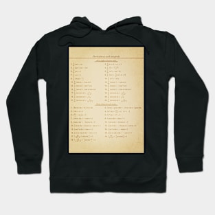 Derivatives And Integrals Hoodie